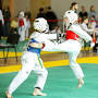 Тхеквондо ВТФ. Единоборства. from taekwondo-pro.ru