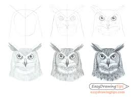 Draw additional short lines all over the owl's body, following the guiding lines. How To Draw An Owl S Face Head Step By Step Easydrawingtips