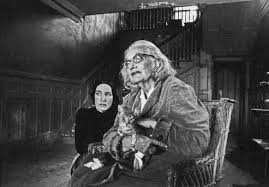 Grey gardens is one of the most terrifying and amazing films ever made. Grey Gardens 1975 Canvassing The Criterion Collection