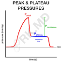 Peak Pressures vs Plateau Pressures | RK.MD