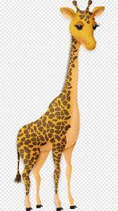 We'll add the head and neck now. Baby Giraffes Cartoon Drawing Cartoon Giraffe Mammal Animals Png Pngegg