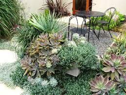 Use the leaves and flowers in salads and pestos (eating the tubers will announce your presence a day before your arrive). Succulent Garden Ideas Succulent Shop Nursery South Africa Buy Succulents Online