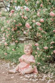 Roses Garden Photoshoot Roses Jardin De Rosas Fotografia De Ninos Fotografia