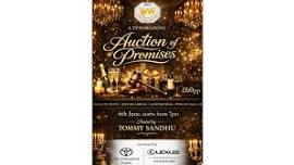 Cricket Auction of Promises 6th June