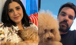 Polémica perruna! Álvaro Ochoa, el papá de Pistacho, pide a Katleen Levy  cumplir acuerdo por crías de Dracarys