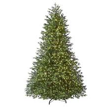 It was a pleasure having the opportunity to leave my touch of magic on everyone's christmas tree this year. Reviews For Home Decorators Collection 9 Ft Elegant Grand Fir Led Pre Lit Artificial Christmas Tree With Timer With 3000 Warm White Lights W14n0139 The Home Depot