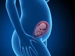 The baby begins to form a substance called meconium, which is the first bowel movement. 25 Weeks Pregnant Symptoms Hormones Baby Development