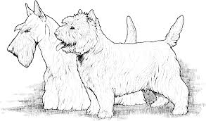 Do you want to try the dog coloring pages? Dog Breed Coloring Page Dog Breed Coloring Pages Joelle Lesoleildefontanieu Com