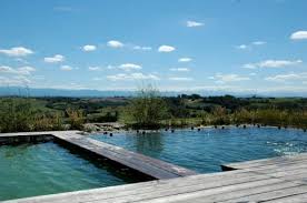 The Wonderful Natural Swimming Pool With A View At Chaumarty Eco Gite Southwest France Natural Swimming Pool Cool Swimming Pools Swimming Pools