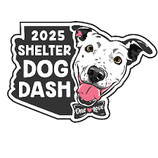Overall leaderboards — Shelter Dog Dash — Race Roster — Registration,  Marketing, Fundraising