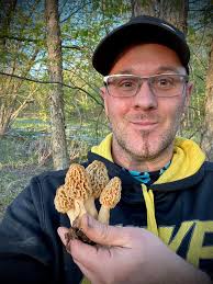 Indiana Morel Mushroom Progression