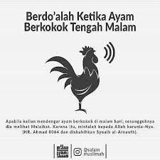 Siapa Pernah Mendengar Ayam Berkokok Tengah Malam Itu Tandanya Ayam Melihat Malaikat Turun Rasulullah S Kutipan Alkitab Kata Kata Indah Kata Kata Mutiara