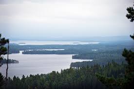 Adventure activities from one day guided tour to overnight trips with camping in the wilderness. How To Explore One Of Sweden S Most Peaceful Nature Reserves The New York Times