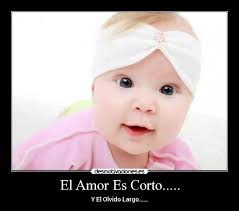 Imágenes y Carteles de AMOR Pag. 19487