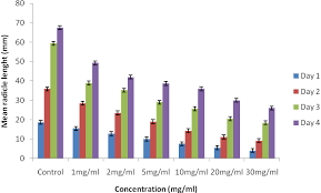 Image result for Rhaphiostylis