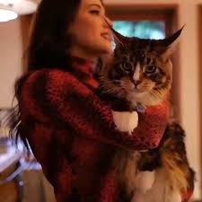 Cats 2019 assistir filmes s online completos. Kat Dennings Katdenningsss Instagram Photos And Videos