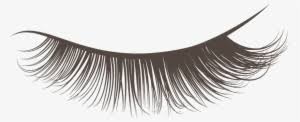 Check spelling or type a new query. Eyelashes Png Download Transparent Eyelashes Png Images For Free Nicepng