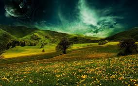 Download in under 30 seconds. Dreamscape Landscape Photograph Of Flower Field Dreamscape Dreamy And Fantasy Hd Wallpaper Wallpaperbetter