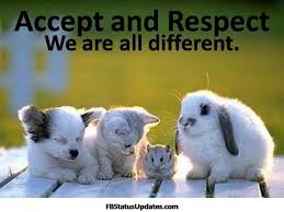 Great Respect Quotes For Kids And Students Inspire My Kids Respect Quotes Cute Animals Animals
