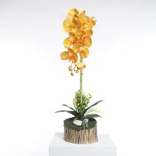 Pada halaman yang terbatas, anda bisa menggunakan rak untuk menghemat tempat. Cenderamata Bunga Orkid Plastik Mycraftshoppe Global Reach Local Identity