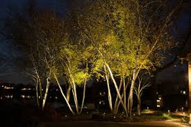 Outdoor Lighting Landscape Lighting Design Landscape Design External Lighting