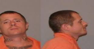 Man accused of kicking a cat, breaking its jaw