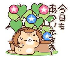 animation sticker full of cats 4 스티커 메시지