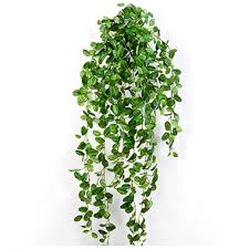 Mini ceramic succulent planter | hanging air plant display. Silk Plant Fittonia Hanging Bush