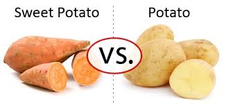 Are sweet potatoes or white potatoes healthier? Sweet Potato Vs Regular Healthiest Potato Gym Junkies