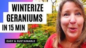 India Rex's Instagram, Twitter & Facebook