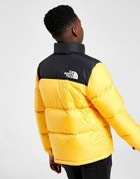 Obviously, the north face's perennial collaboration with a certain new york skate. The North Face Nuptse Jacke Kinder Schwarz Jd Sports