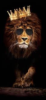 Lion King Wallpaper By Mayanksugandh 65 Free On Zedge