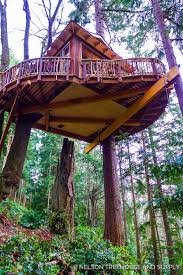 Treehousefriday Sky Pirate Hideout Conceptions De Maisons Dans Les Arbres Maison Dans Les Arbres Cabane Dans Les Arbres