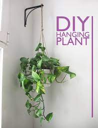 Diy Hanging Plant Holder Indoor And Outdoor Standingplanterbox Hangingplanterbox Hanging Plants Hanging Plants Indoor Bathroom Plants Decor