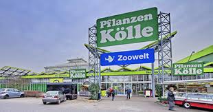 1 bis 25 von 44 adressen zu garten center in berlin mit telefonnummer, öffnungszeiten und bewertung gefunden. Pflanzen Kolle Teltow Gartencenter Alles Auf Einen Blick