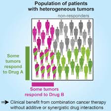 Combination Cancer Therapy Can Confer Benefit Via Patient To