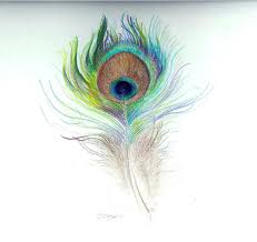 In her hair look rhpinterestcom woman peacock feather pencil drawing. Design Peacock Feather Pencil Drawing Novocom Top