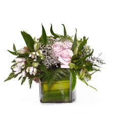 They are all native to south america although some have become naturalized in the united states, mexico, australia, new zealand. Send Roses Alstroemeria Floral Arrangement Online From Bookmyflowers