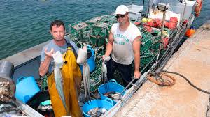 Porno mauro rossiello telegram this one has a big soft