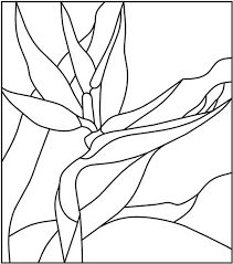 Stained Glass Pattern A Bird Of Paradise Painting On Glass Stained Glass Patterns Free Stained Glass Patterns Stained Glass Birds