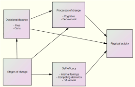 The transtheoretical model is the behavior change is an integrative theory of therapy that assesses an individual's readiness to act on a new healthier. Frontiers Application Of Transtheoretical Model On Behavioral Changes And Amount Of Physical Activity Among University S Students Psychology