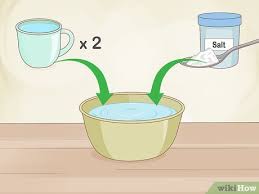 Sie reiben das wachs dabei tiefer in. Erbrochenes Von Haustieren Aus Einem Teppich Reinigen Mit Bildern Wikihow