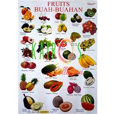 Maybe you would like to learn more about one of these? Poster Anak Belajar Buah Buahan Shopee Indonesia