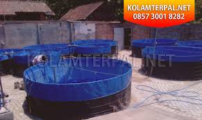 Kolam Terpal Kolam Terpal Bandar Lampung Latest Snapshot Chan 53173113 Rssing Com