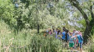 Un árbol de la vida para el día mundial del medio ambiente: Actividades Para Toda La Familia En Sevilla Con Motivo Del Dia Mundial De Medio Ambiente