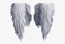 Create free angel wings flyers, posters, social media graphics and videos in minutes. Angel Wings Png Images Png Cliparts Free Download On Seekpng