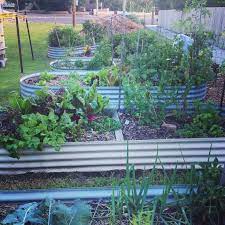 Pin On Garden Types Pets And Good Info