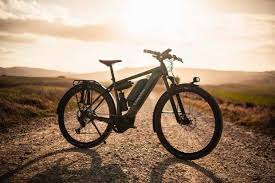 Canyon Adds To Electric Bike Range With The Pathlite On Trekking Ebike In 2020 Radfahren Naturwissenschaften Fur Kinder Ikonen