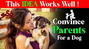 Jul 16, 2021 · hint for kids: How To Convince Your Parents To Get You A Pet In Tamil Herunterladen
