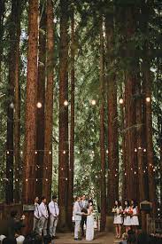 Forest Wedding Forest Wedding Venue Forest Wedding Ceremony Redwood Forest Wedding